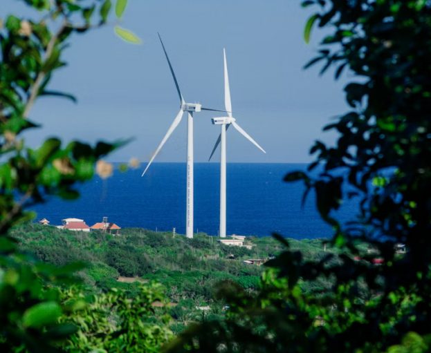 Building ASEAN’s clean energy system in harmony with nature