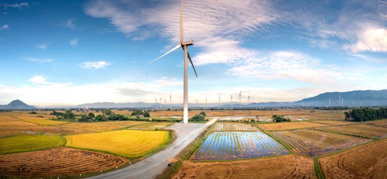 Nations and nature: the long-term symbiosis championed by utilities